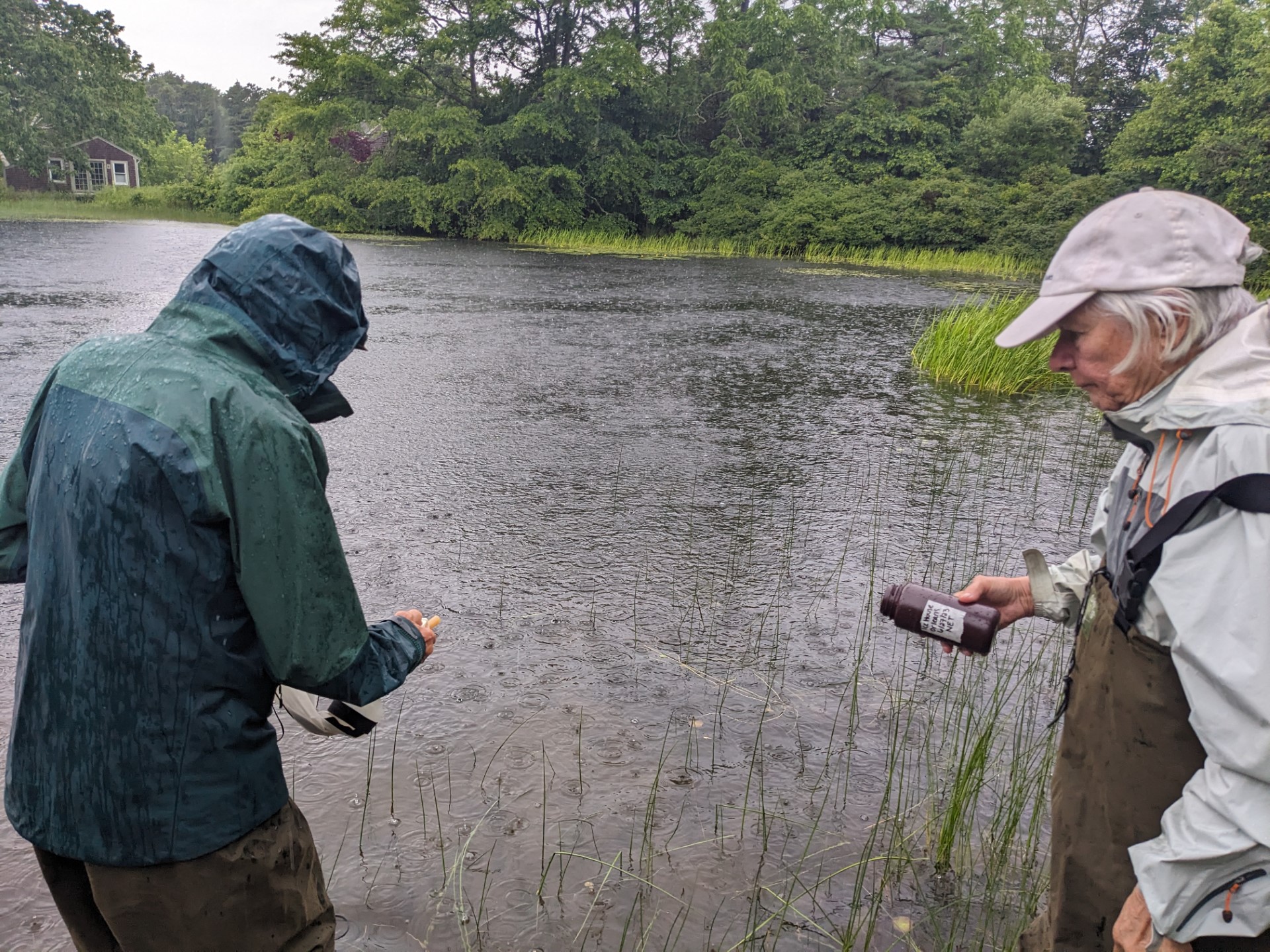 Cyanobacteria Program Pond association volunteers work in all kinds